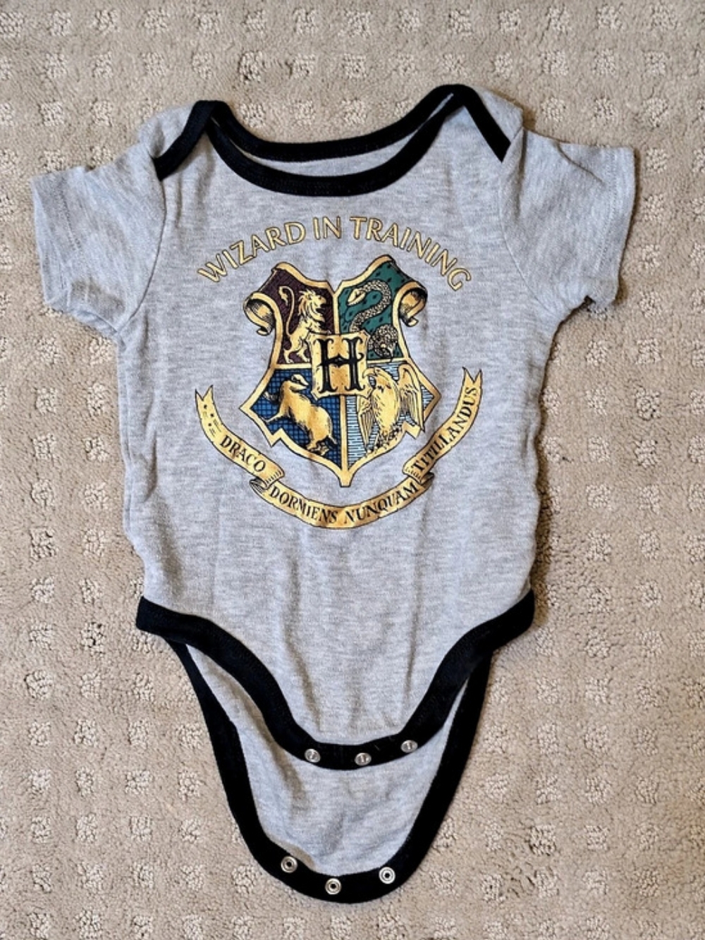 Harry Potter Wizard in Training Hogwarts Crest Infant Bodysuit Baby Bodysuit in